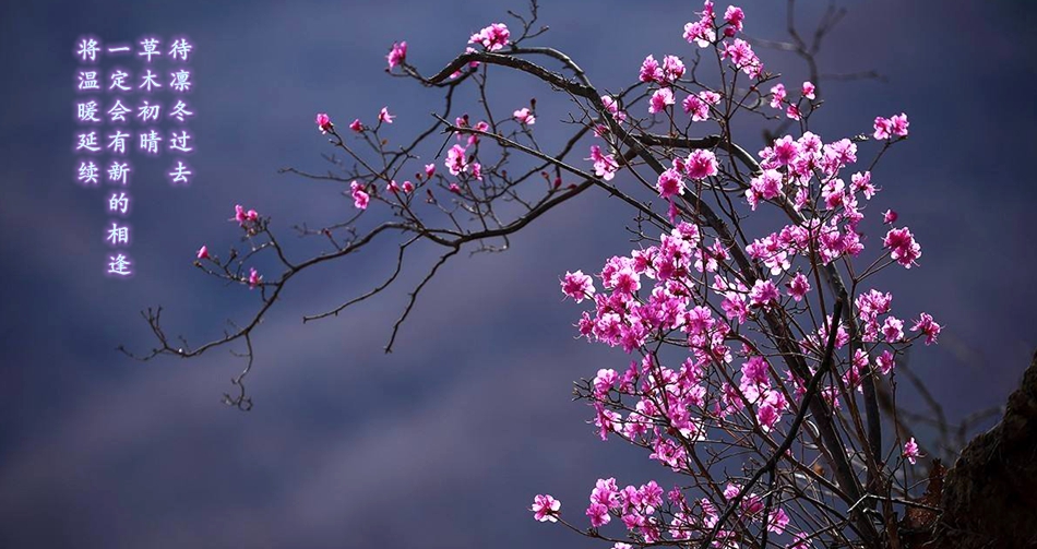 122cc太阳集成游戏(中国)有限公司官网