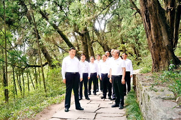 122cc太阳集成游戏(中国)有限公司官网